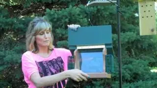 WoodLink Going Green Hopper Feeder - For the Wild Birds