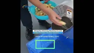 Ginger Shredder and Slicer Machine