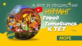 [VLOG] А ВОТ И ПУШИСТЫЕ. СМЕНА СЕЗОНОВ. ПОДГОТОВКА К ТЕТ (20-22.01.2022)