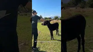 Отпуск в Кыргызстане! Полное видео на канале