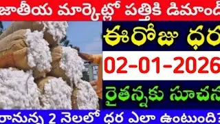మార్కెట్లో పత్తి ధరలు 02-01-2026 today cotton rate | cotton rate today || #pattidhralu Increase