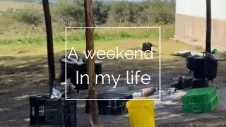 A weekend in my life| Farm vlog | South African YouTuber 🇿🇦