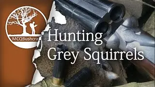 Bushcraft Hunting Grey Squirrels with a Shotgun