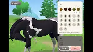 Customise a horse with me