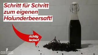 Holunderbeersaft selber herstellen | Schritt f&uuml;r Schritt erkl&auml;rt | So einfach und lecker!