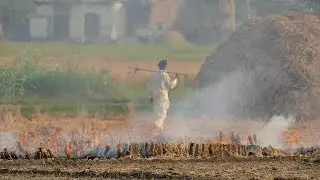 Less stubble burning but pollution continues to choke Delhi-NCR