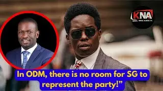 IN ODM PARTY THERE'S NO WHERE THE OFFICE OF THE SECRETARY GENERAL IS ALLOWED TO BE THE SPOKESPERSON 