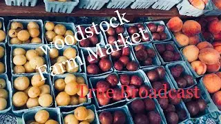 Farm Festival Woodstock NY|Fresh Organic vegetable and Fruit|Informative video