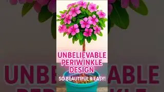 &ldquo;Unbelievable Periwinkle Tree Design 🌿 | Easy Topiary Style You Must Try!&rdquo;#shorts #ourplants