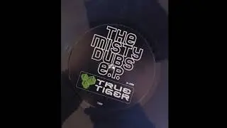 misty dubs - divine emotions