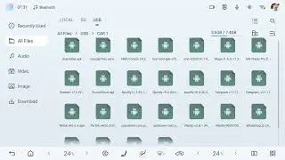BYD Song Plus Central screen Basic 3