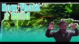 What An Amazing Tank!!!