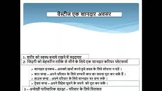 Vestige Business Plan 2020