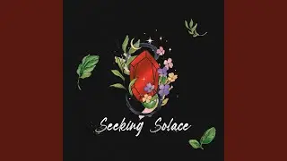 Seeking Solace