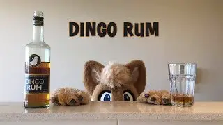 Dingo Rum