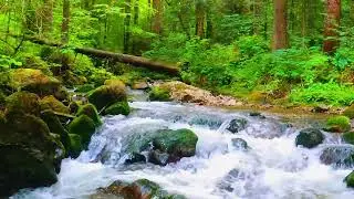 Water Sounds for Deep Sleep, Relax Mind, insomnia, Stress Relief, Study for 12 hours