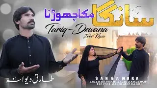 Sanga Muka Chorna ( Official Video ) Tariq Deewana & Zobi Khan | Pandi Studio | Duet Song