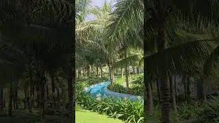 #stressrelief #ambientstudy #travel #nature #mevibes #peacefulambiance #relax #relaxing