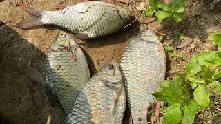 SPOT MANCING INI TERNYATA SARANG IKAN!!!