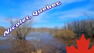 Birdwatching in Nicolet, Quebec Canada (Boardwalk)