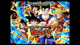 WOW! 600 Stones LR GoBros Banner Summons (JP) | Dragon Ball Z Dokkan Battle