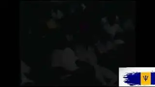 The Mighty Destroyer... I Cried .; Barbados Calypso Music 1989.