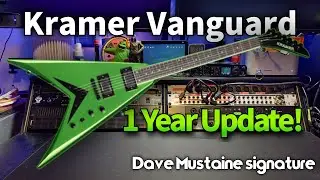 Kramer Vanguard, is it worth it? My 1 year update.