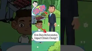 How Does Deforestation Impact Climate Change