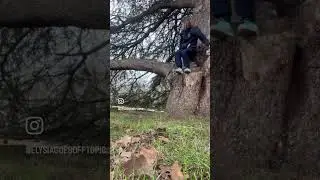 You could sit on a bench OR&hellip; #fun #tree #rspbbiggardenbirdwatch #birdwatch #park #january #shorts