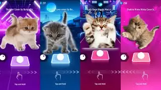 Tiles Hop EDM Rush | Cute Cats - Imagine Dragons(Thunder),BTS(Fake love),Bloody Mary,Waka Waka