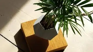 Artern Magic Levitating Plant