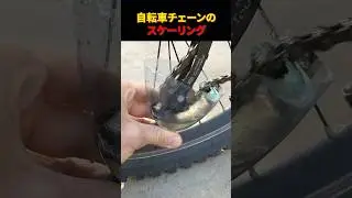 自転車チェーンのスケーリング