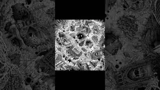 Drouth - The Teeth of Time (2025) #Shorts