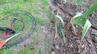 A look at low-emission drip & micro-spray irrigation sprinklers for gardens & plants: good times!