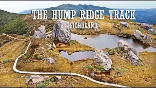 Amazing Scenery of the Hump Ridge Track, New Zealand!