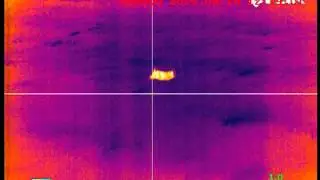 SC hog hunt 4 hogs shot running with Thermal scope on AR15 6.8SPC