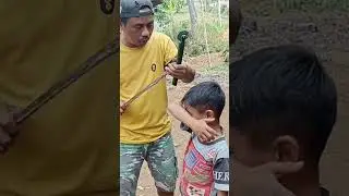si selebew leweh #shorts