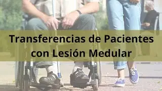 Terapia Ocupacional en transferencias con pacientes de lesi&oacute;n medular