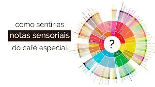 Como Sentir as Notas Sensoriais dos Cafés Especiais?