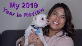 My 2019 Year in Review | New Year's Resolutions