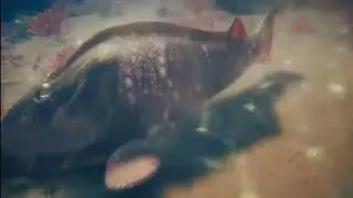 prehistoric worlds cephalaspis