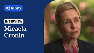DFSV Commissioner on stopping violence against children | ABC NEWS