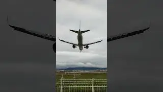 All Nippon Airways Airbus A321-200neo Senri River Bank 千里川土手 Osaka Itami Airport 大阪国際空港 伊丹空港