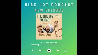 Ethical Birding