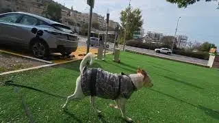 DJI Osmo Action 6 newest update 8k30 test. Rocksteady+  FoV: STD (dewarp). 10bit. Standart bitrate.