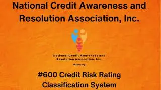 #600 Credit Risk Rating Classification System