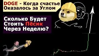 DOGE Coin - Самый Важный Обзор для тех кому Повезло