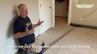 How to Power Stretch a Carpet Like a Pro | Carpet Restretching & Repair Service