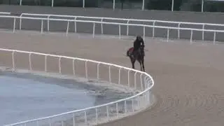 nalçakan 3