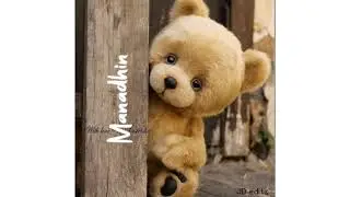Teddy lover 😍😍❤️ WhatsApp status download/Teddy movie
